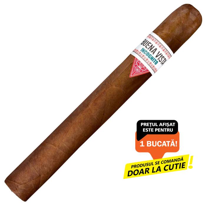 Buena Vista 20 Incognito Churchill (1)