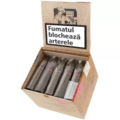 Chinchalero Fuerte Novillo Torpedo (20)