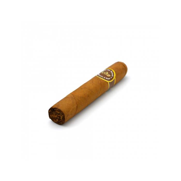 Oro De Esteli Connecticut Bundle Magnum (10)