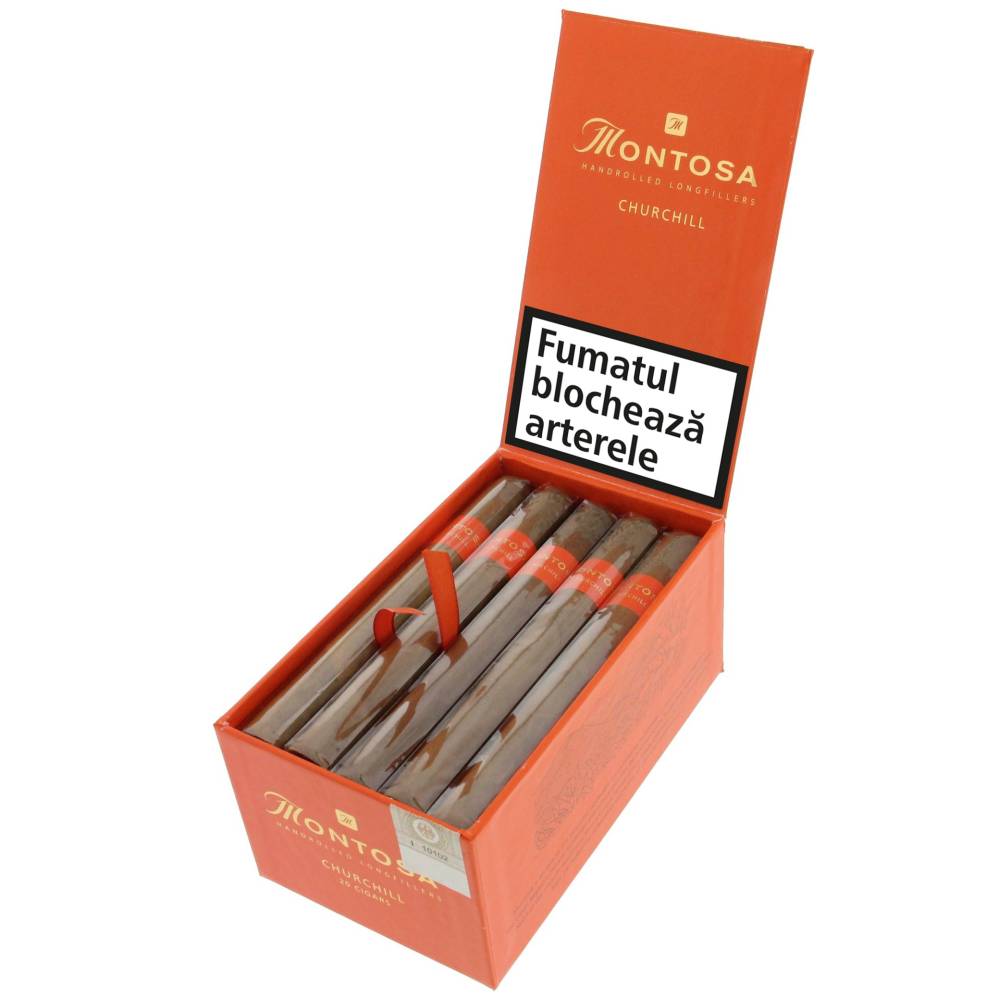Montosa 20 Churchill (1)