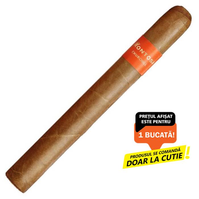Montosa 20 Churchill (1)
