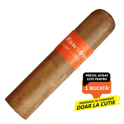 Montosa 20 Short Robusto (1)