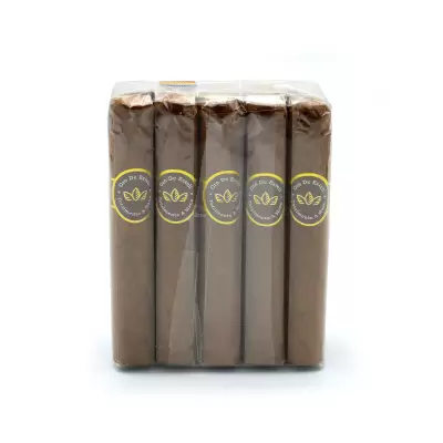 Oro De Esteli Connecticut Bundle Robusto (10)