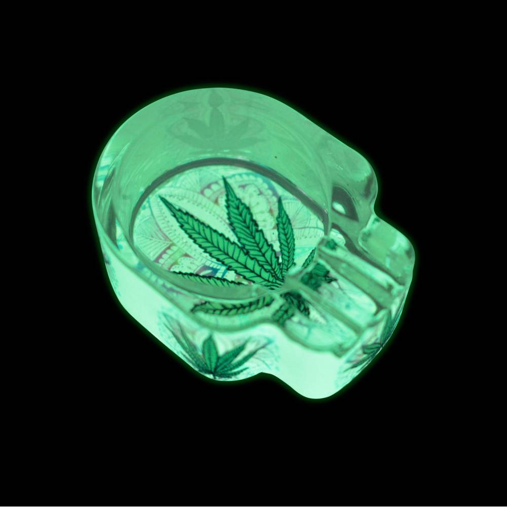 Scrumiera Glow Glass Skull / Toro