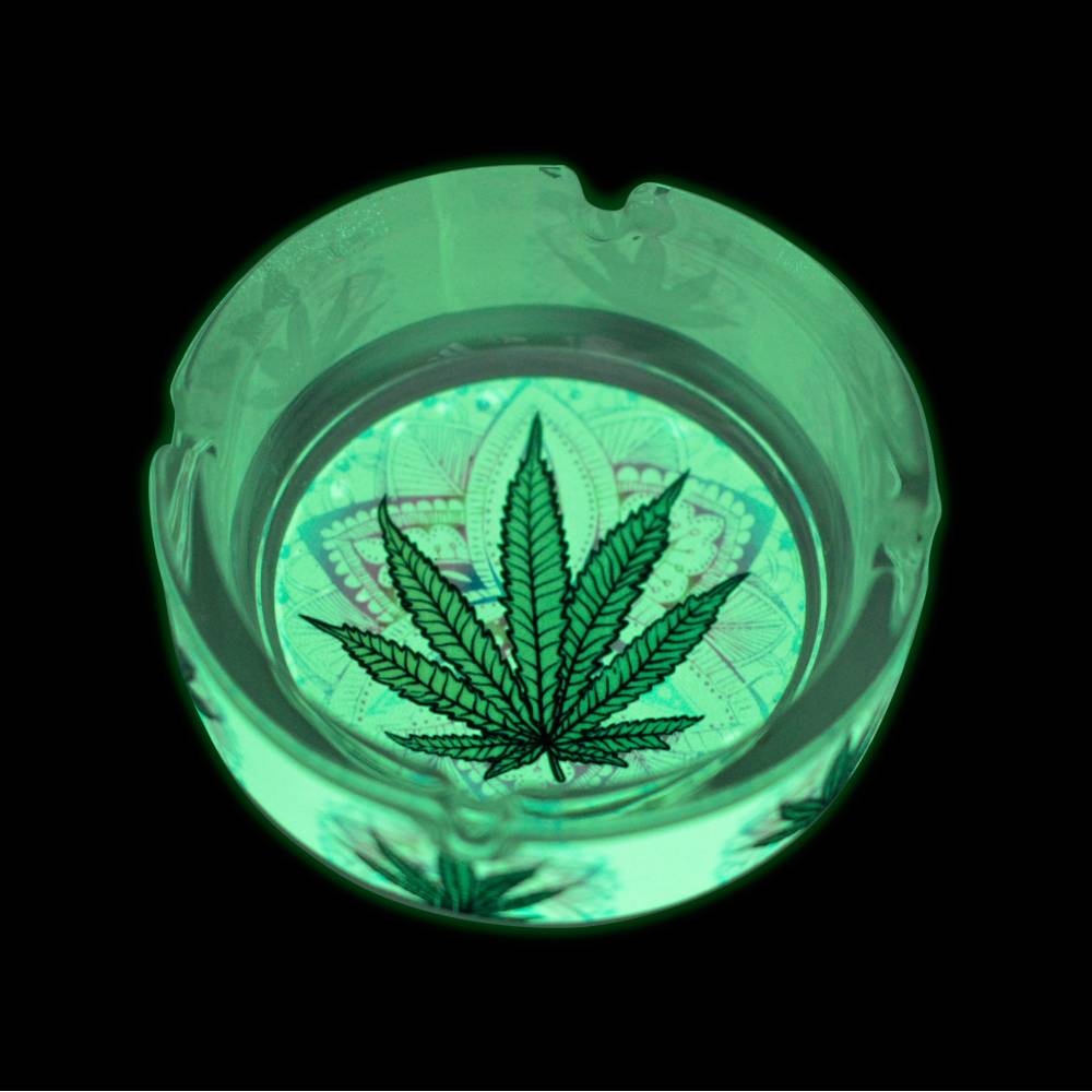 Scrumiera Glow Glass Round / Toro