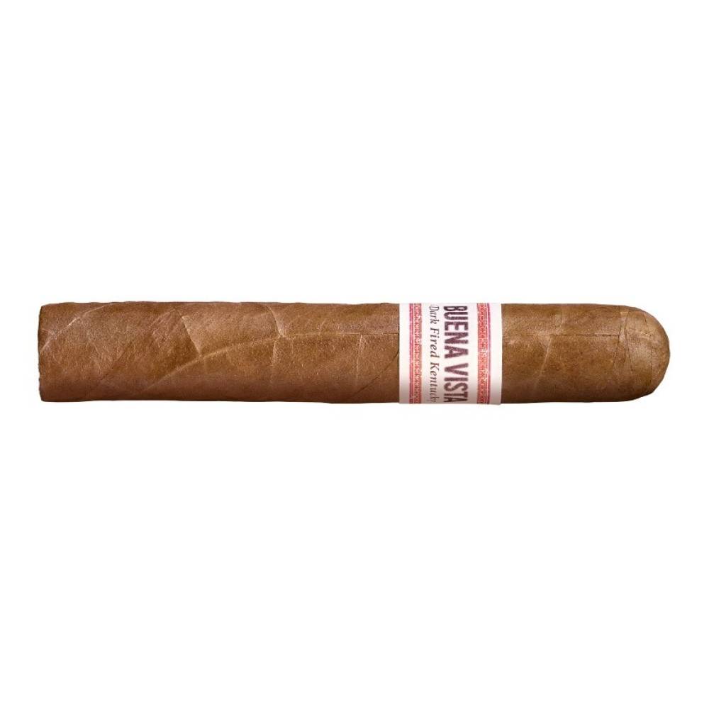 Buena Vista DFK Robusto (20)