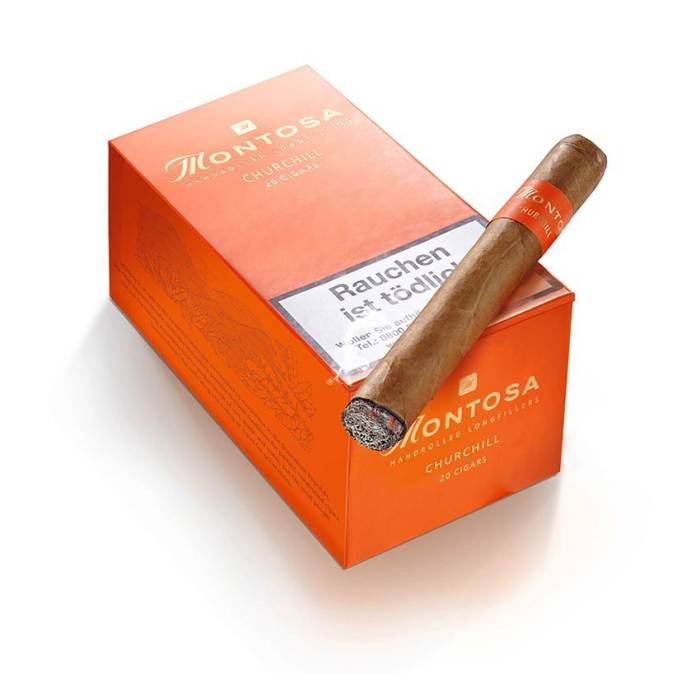 Montosa 20 Churchill (1)