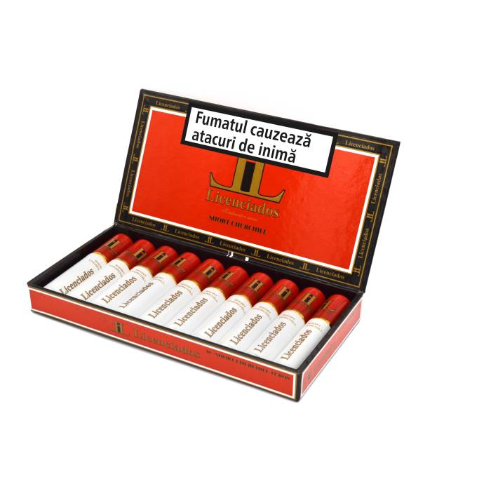 Licenciados Short Churchill Tubos (10)